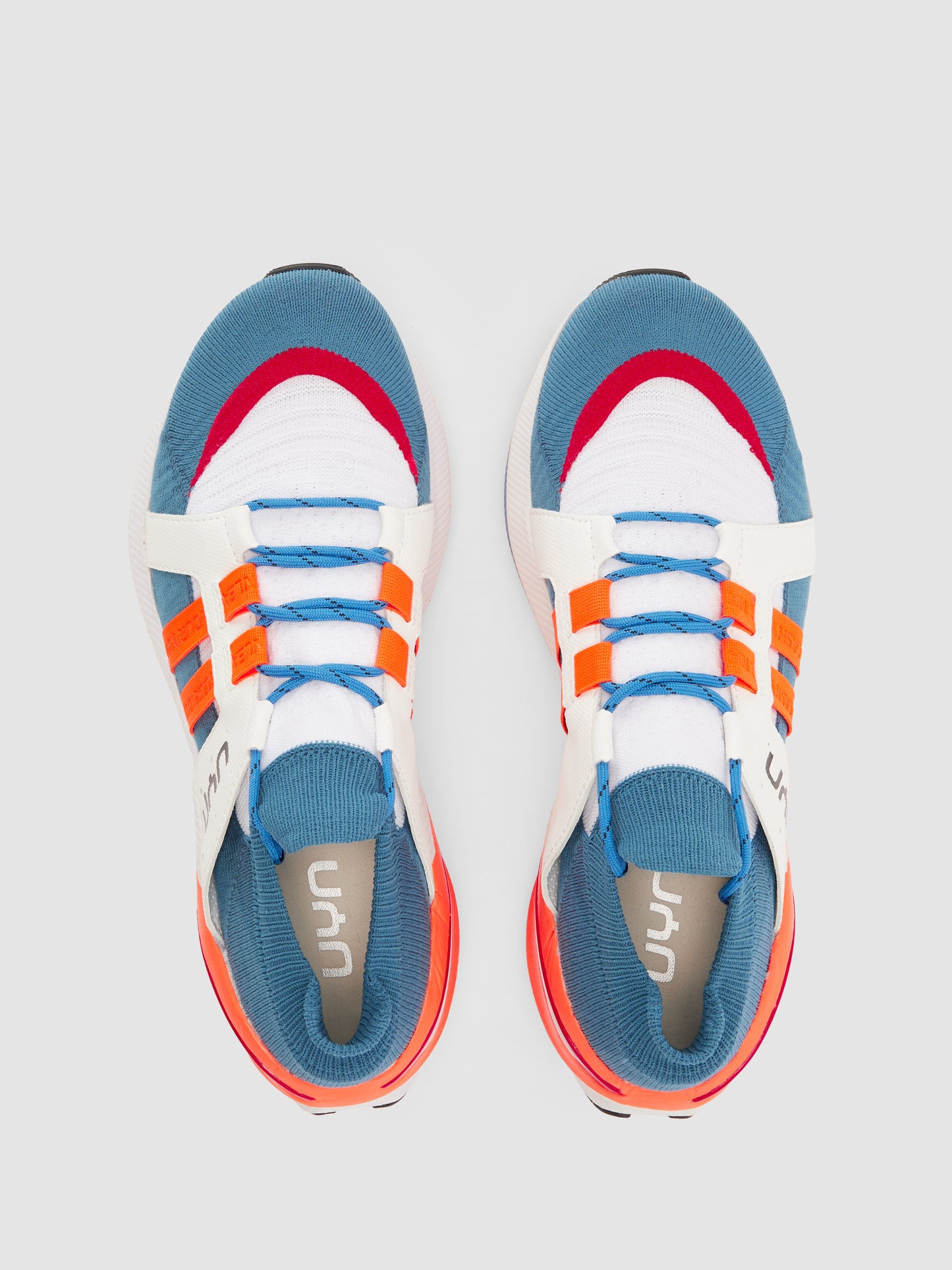 Synapsis Orange