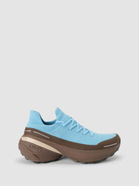 Borealis Brown