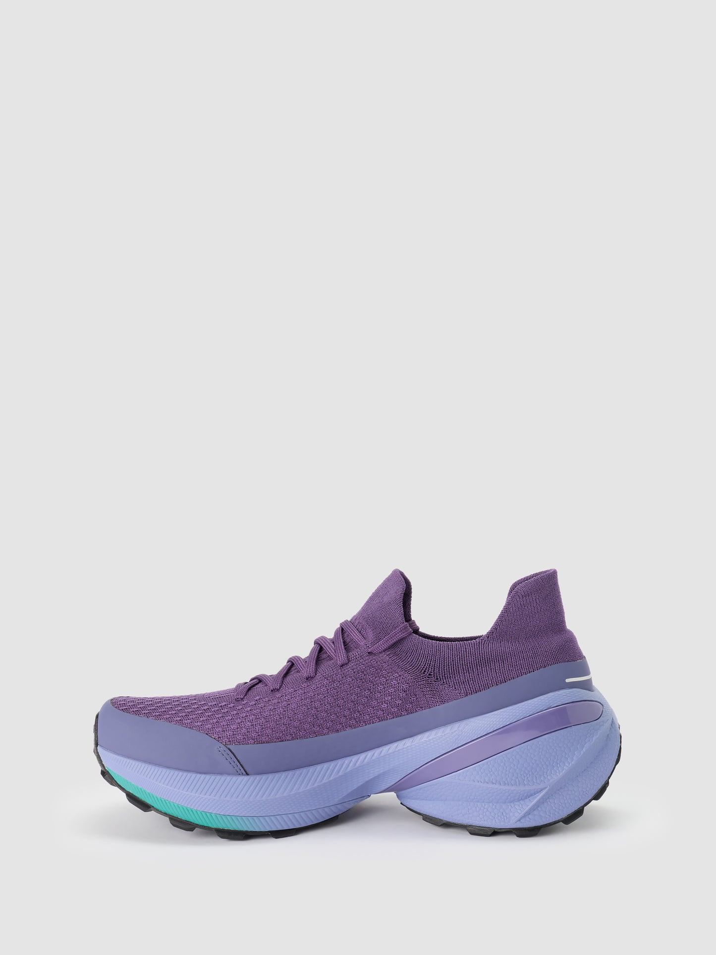 Borealis Purple