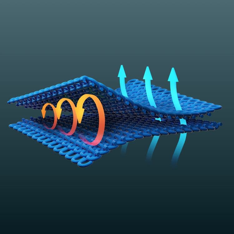 DOUBLE-LAYERED STRUCTURE
