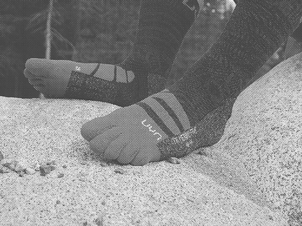 CALZE_BLACK_FRIDAY_EDIT_for-web_BW