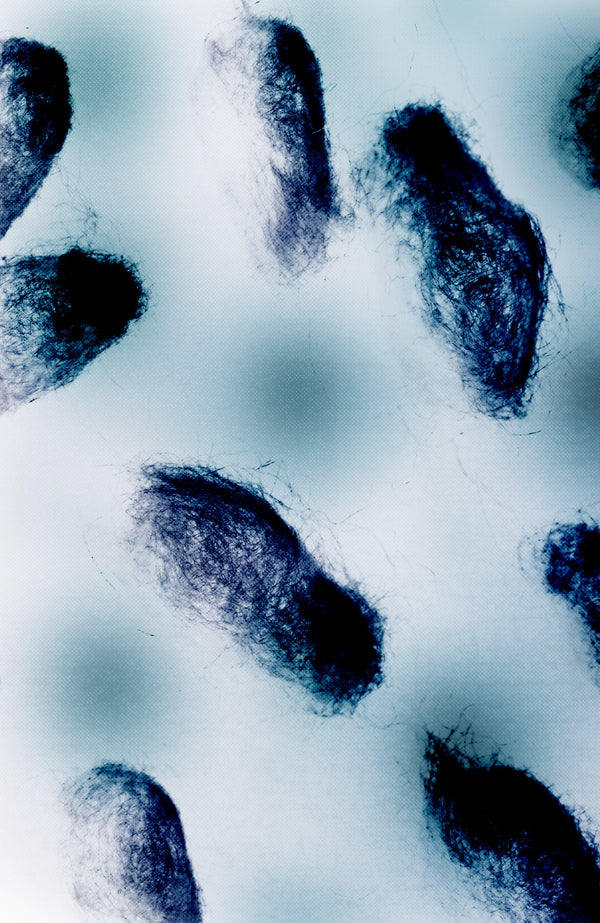COOLTH_MATERIALE_BIOTECH