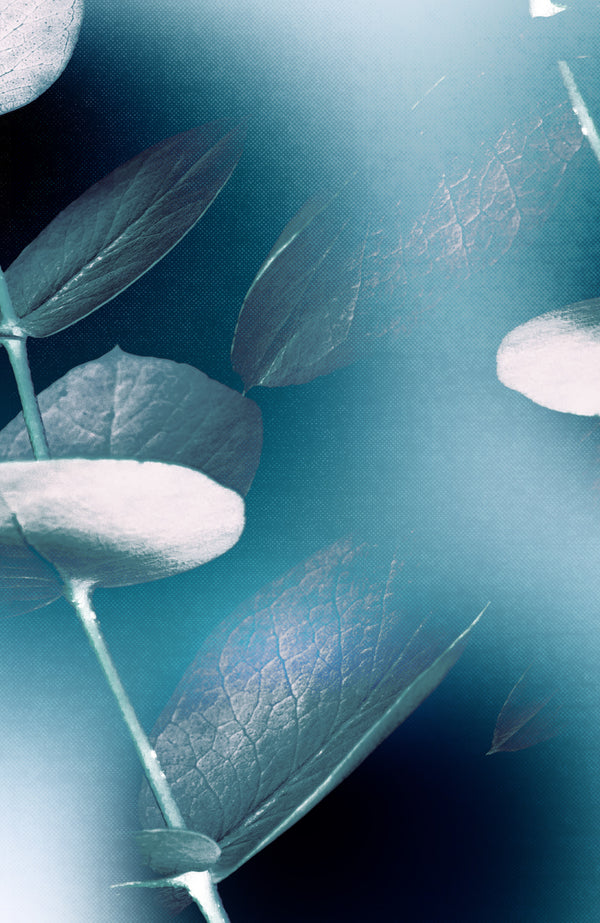 ECOLYPT_MATERIALE_BIOTECH
