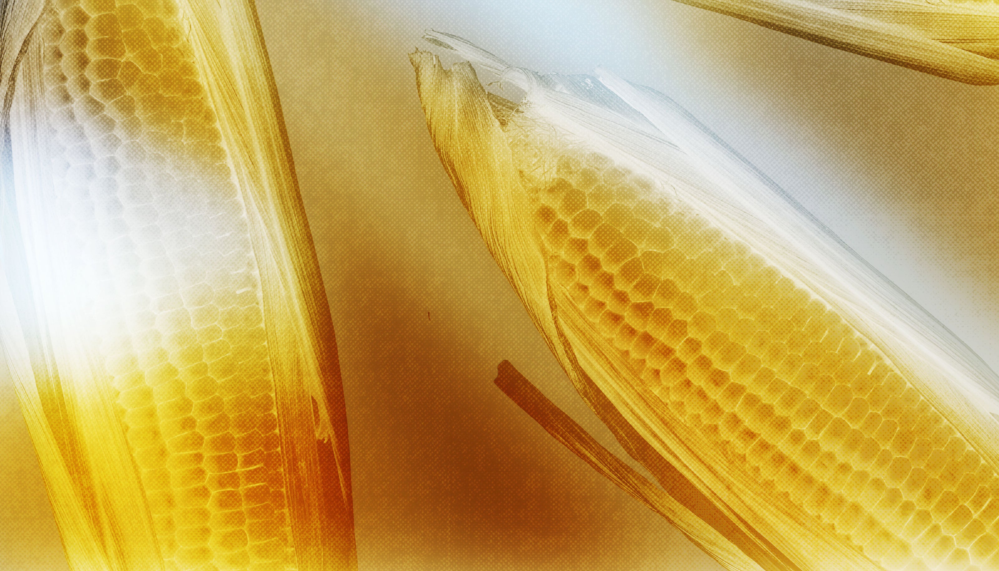 HEADER_FLEXICORN