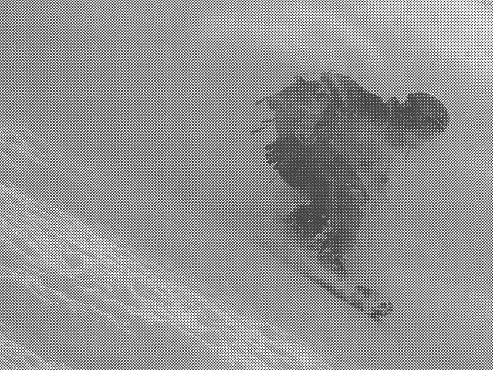 WINTERSPORT_BLACK_FRIDAY_EDIT_for-web_BW