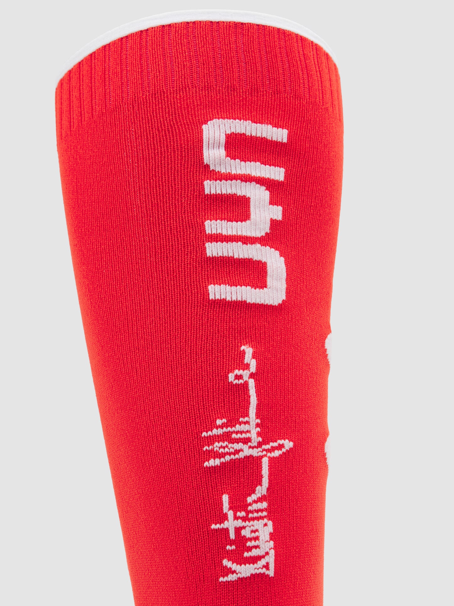 Ski Ghedina socken