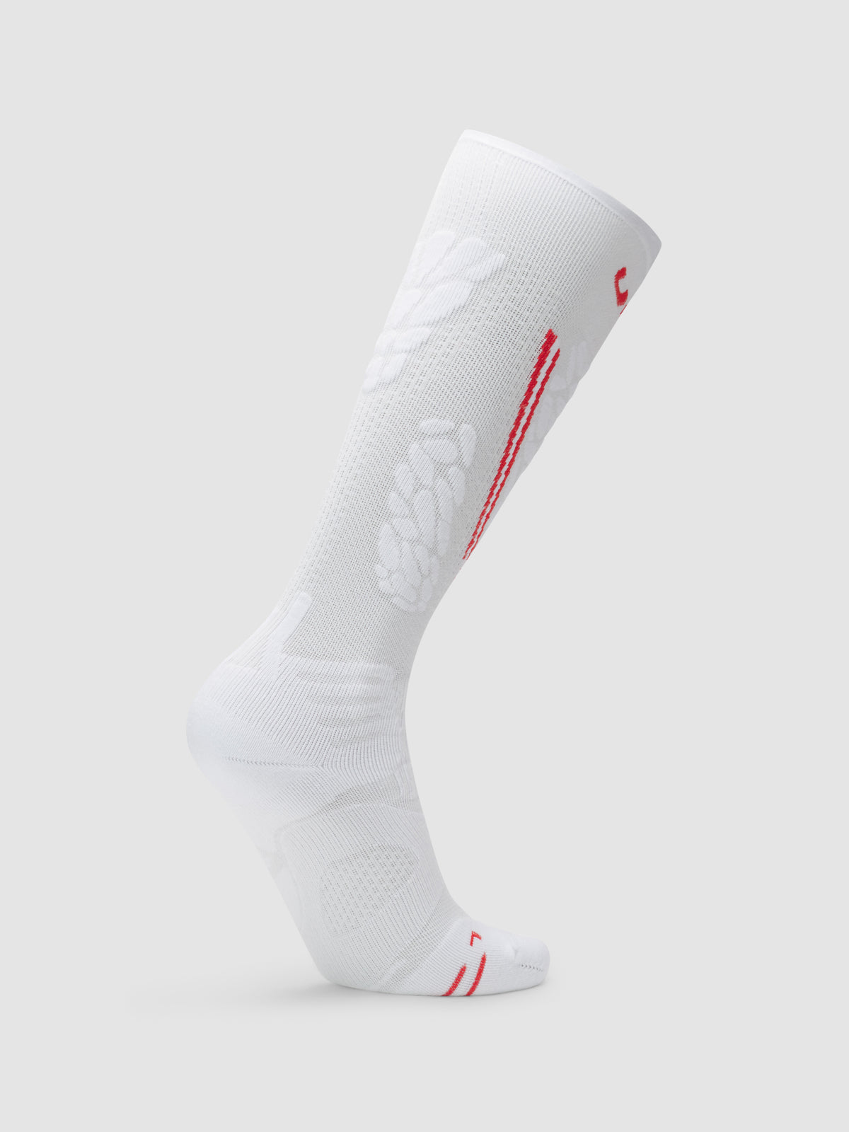 Ski One Natyon Biomorph Socks