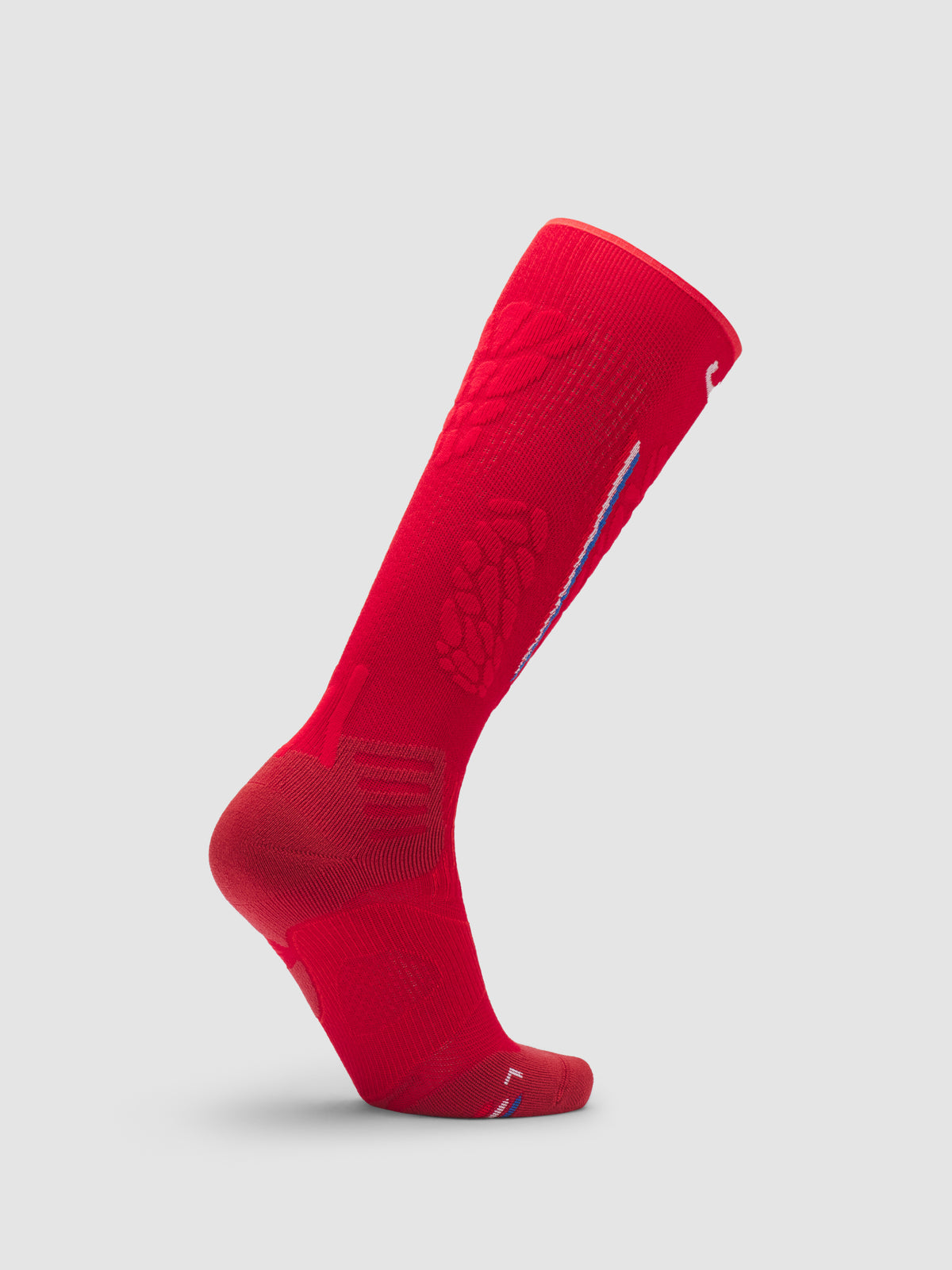 Ski One Natyon Biomorph Socks