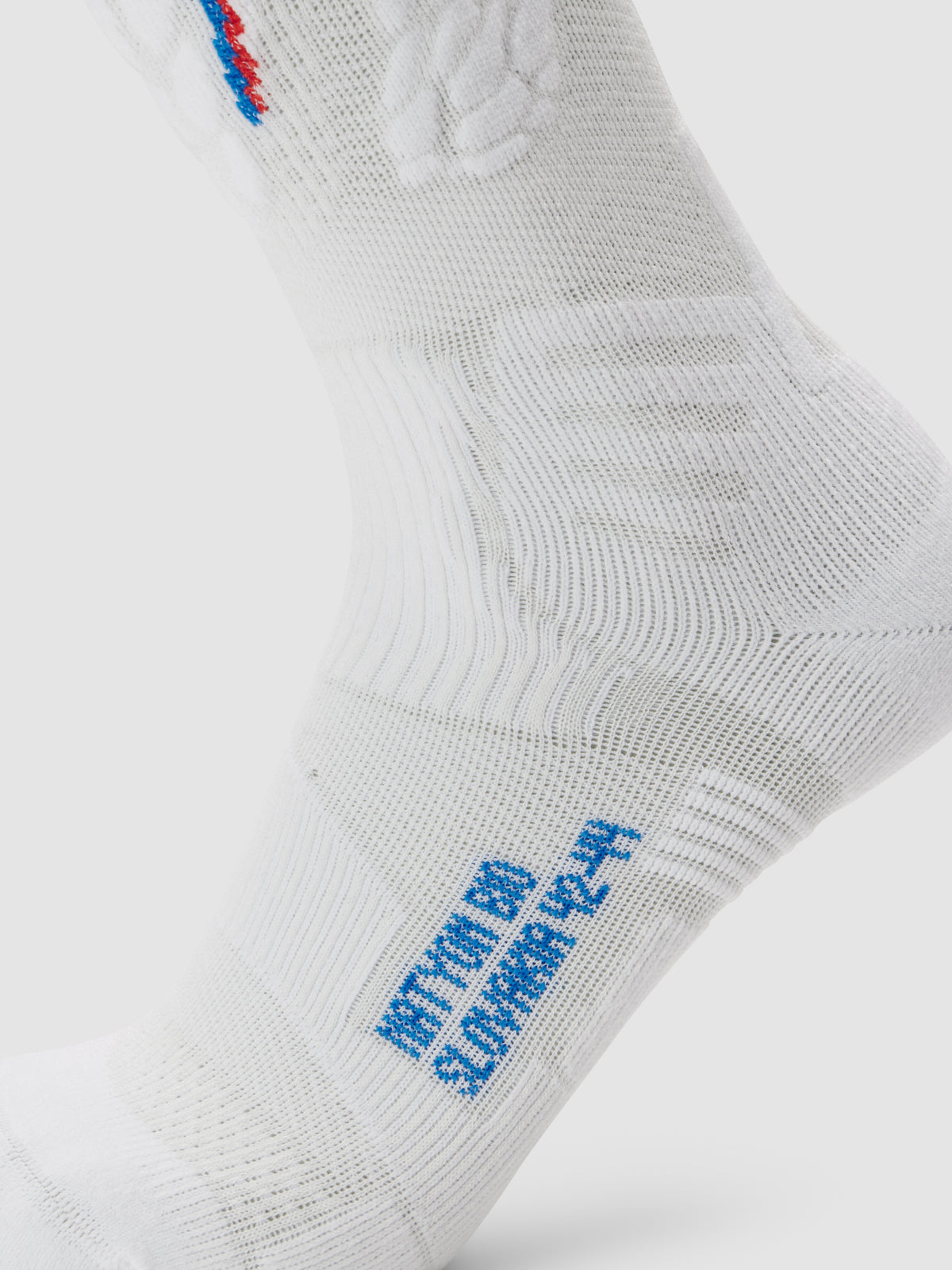 Ski One Natyon Biomorph Socks