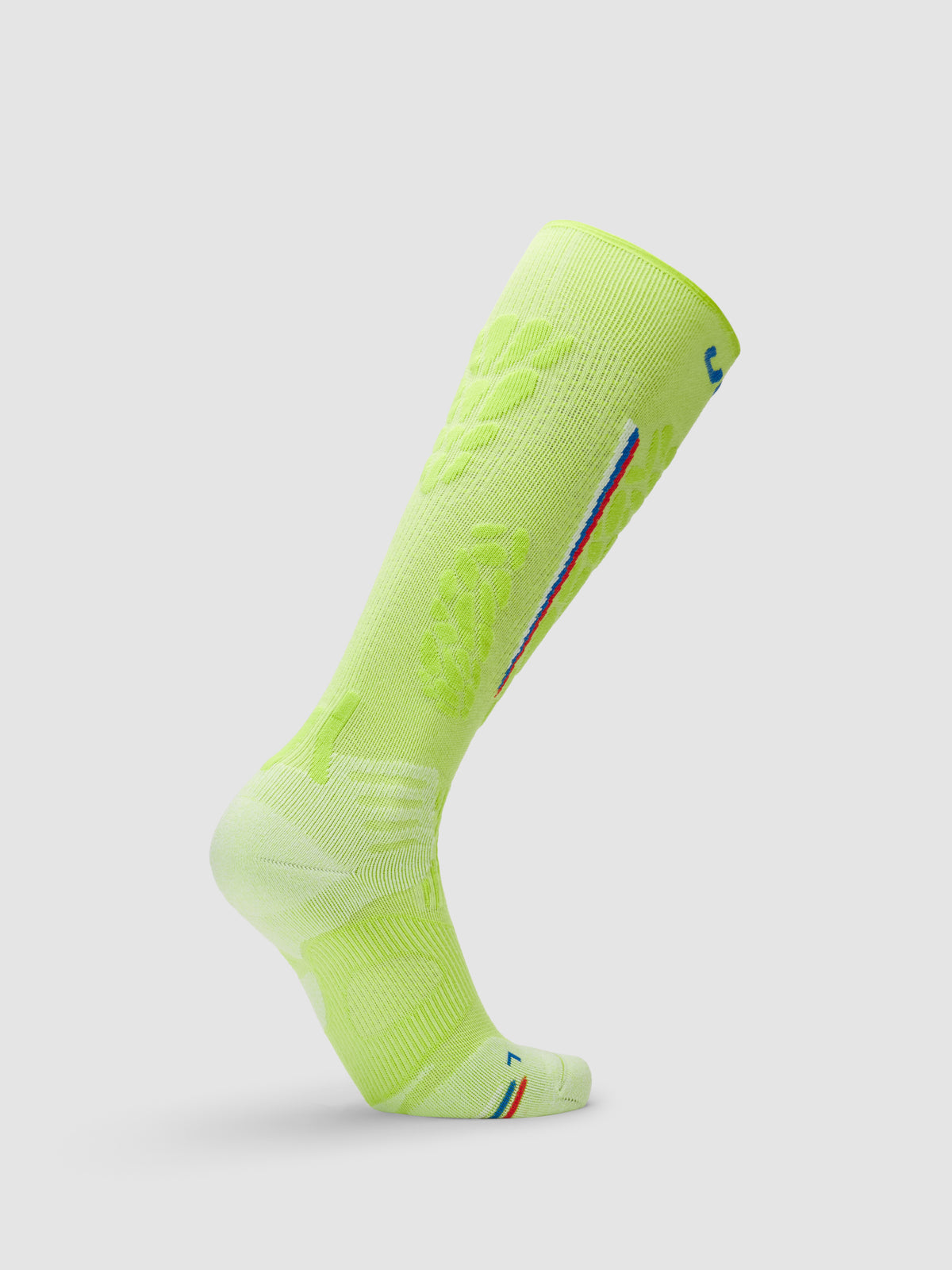 Ski One Natyon Biomorph Socks