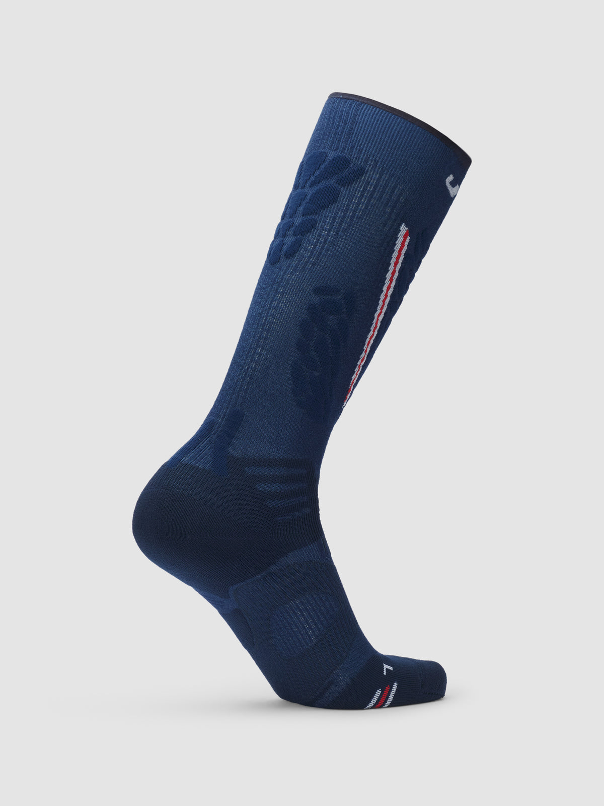 Ski One Natyon Biomorph Socks
