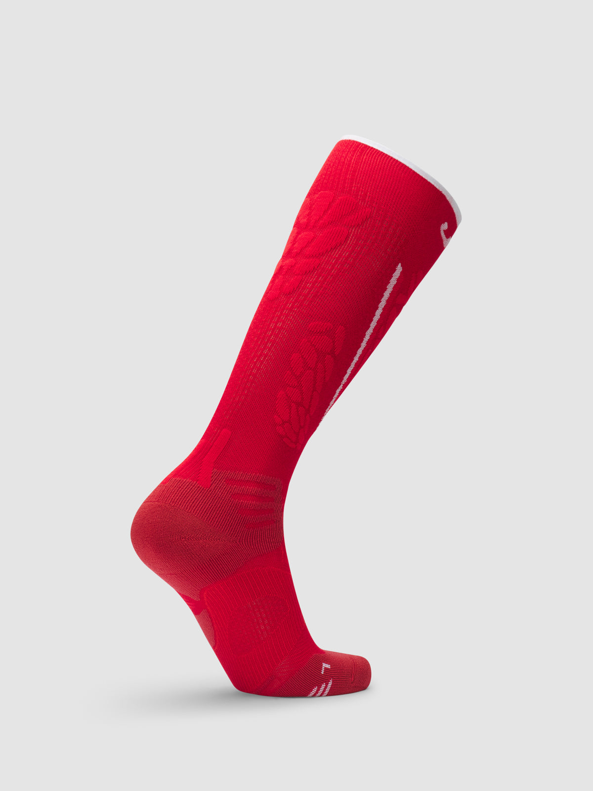 Ski One Natyon Biomorph Socks
