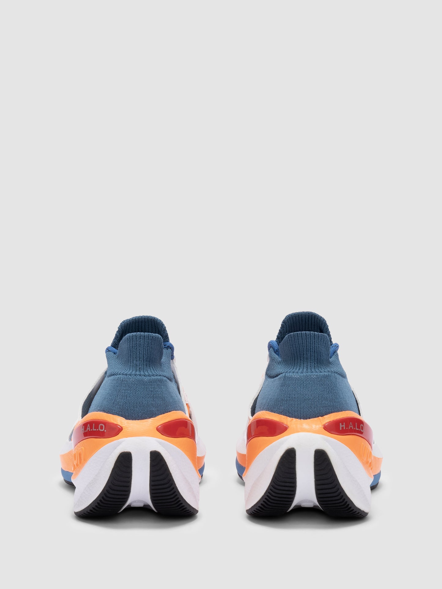 Synapsis Orange