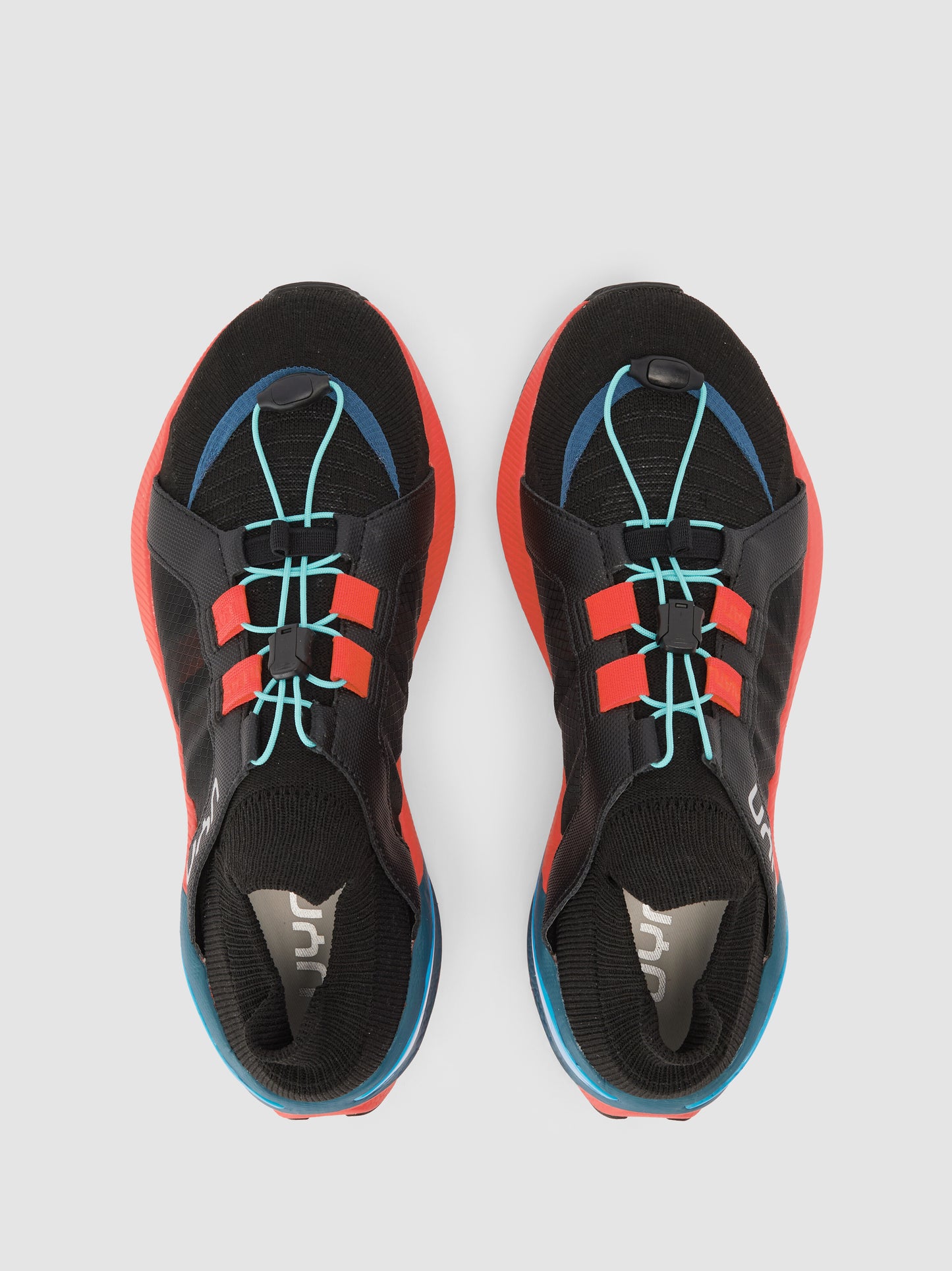 Neuron Orange