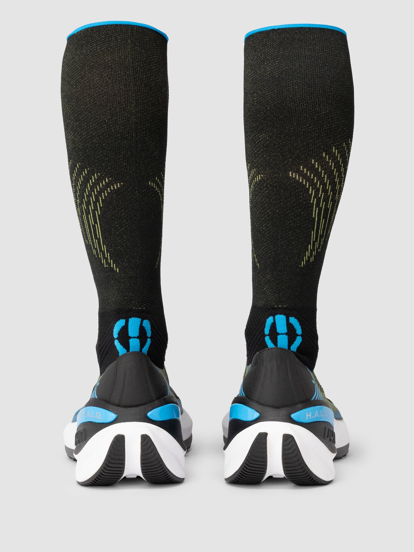 Compression Fly