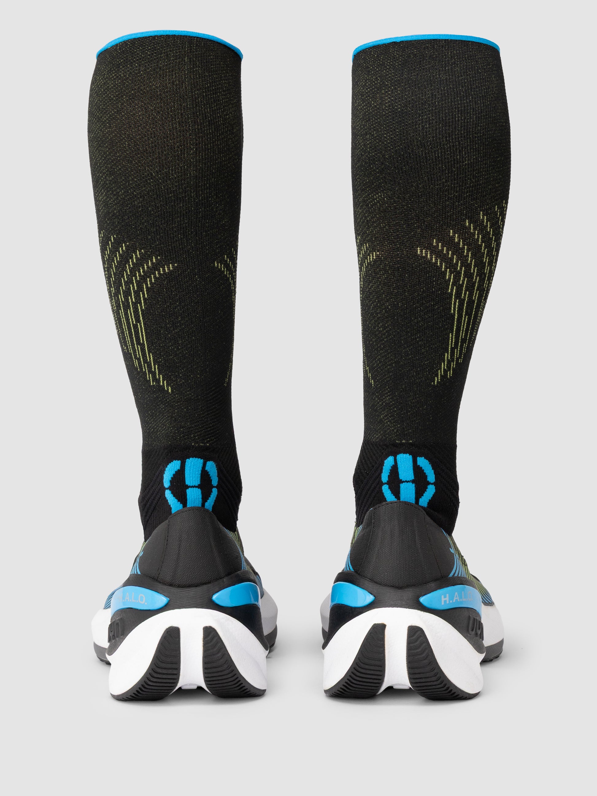 Compression Fly