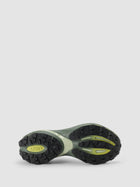 Borealis Green