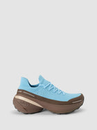 Borealis Brown
