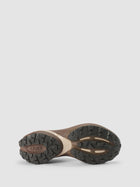 Borealis Brown