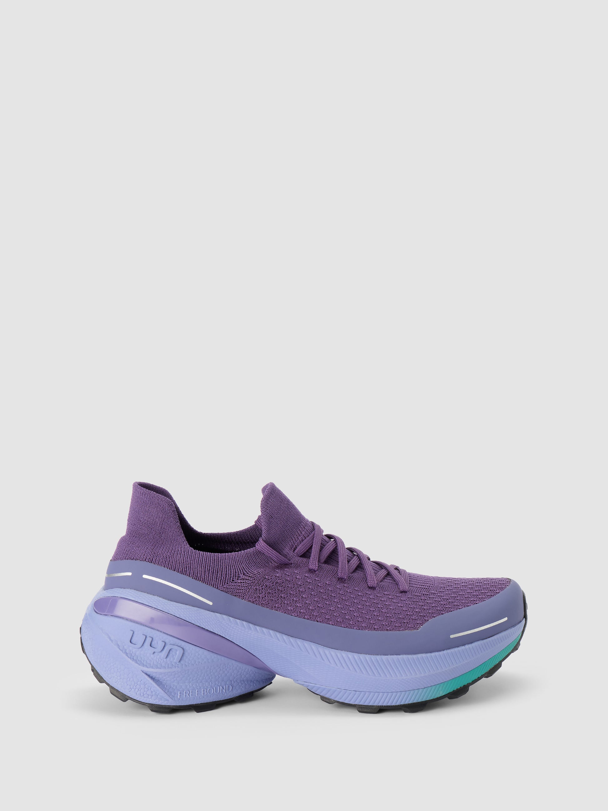 Borealis Purple