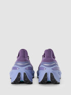 Borealis Purple