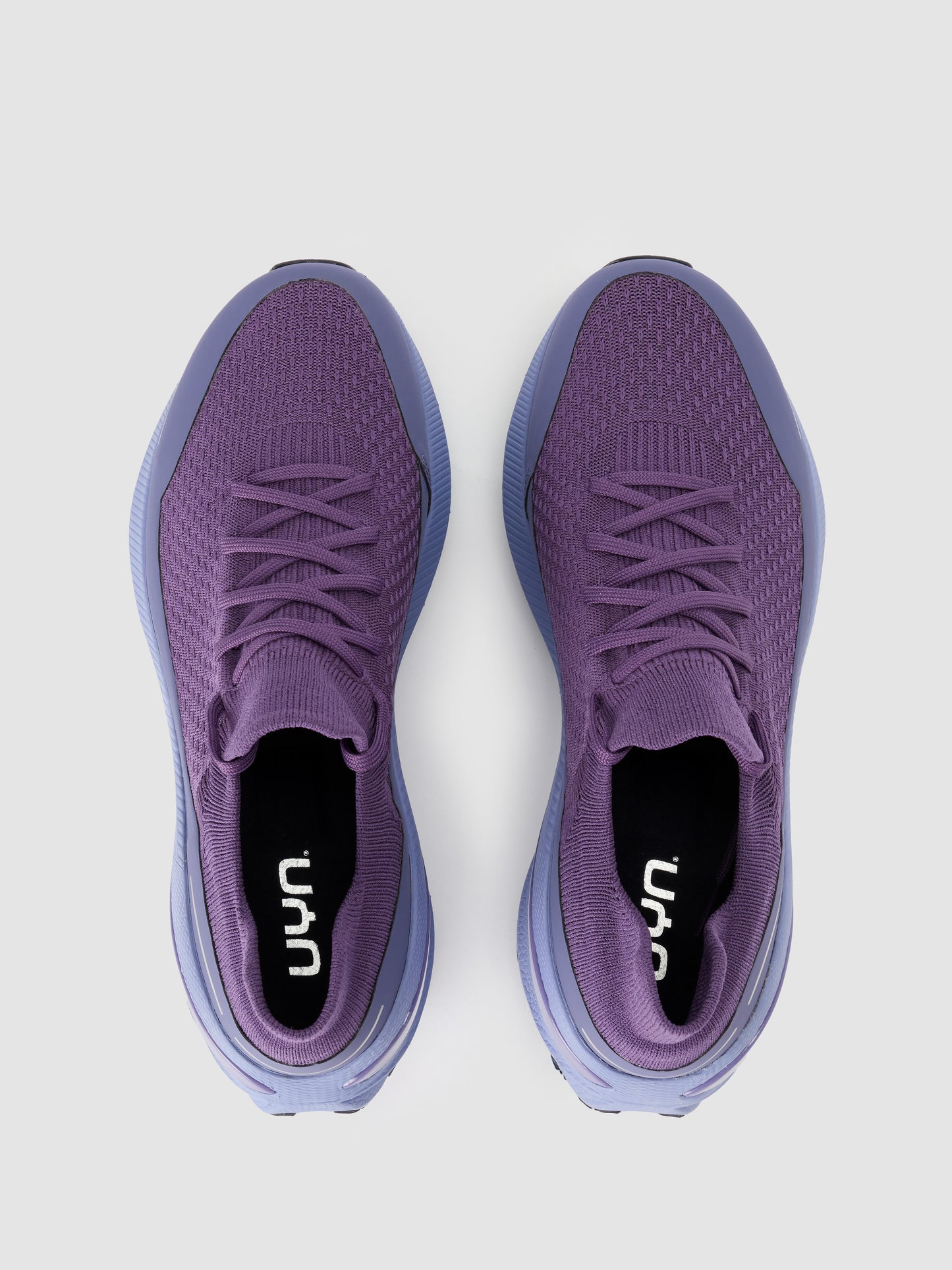 Borealis Purple
