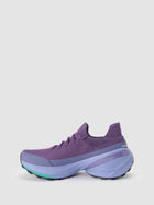 Borealis Purple