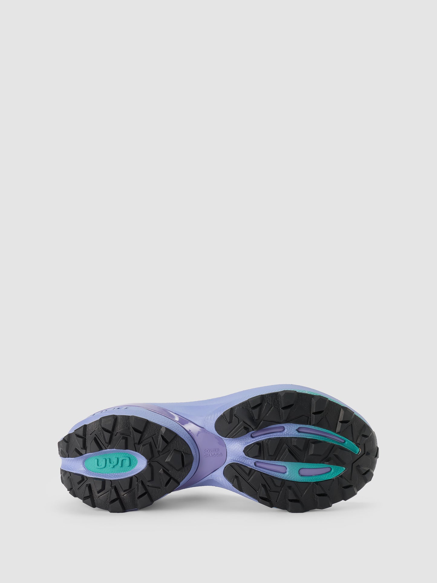 Borealis Purple