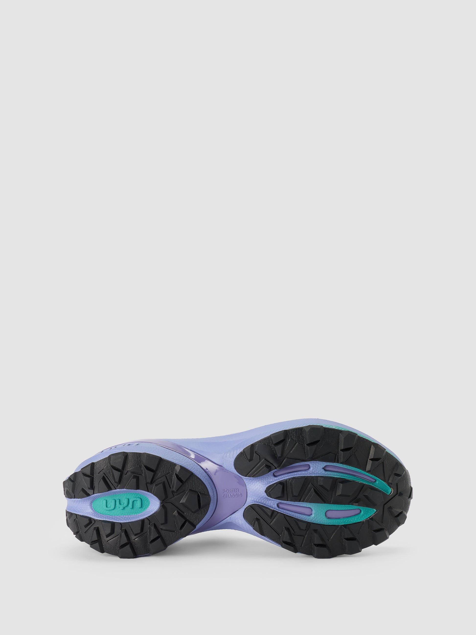 Borealis Purple