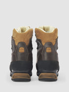 Black Bear