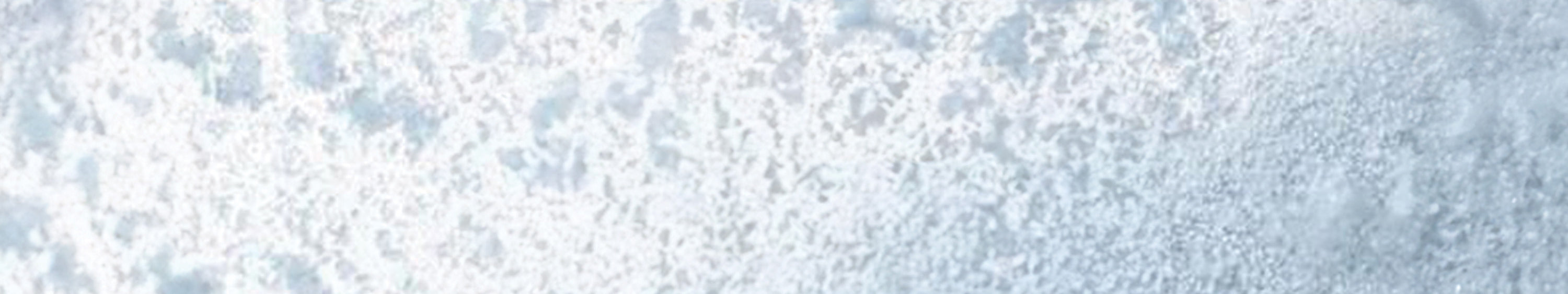 neve-header_28fc3de3-ab13-43a5-a5b9-e67ffa608295